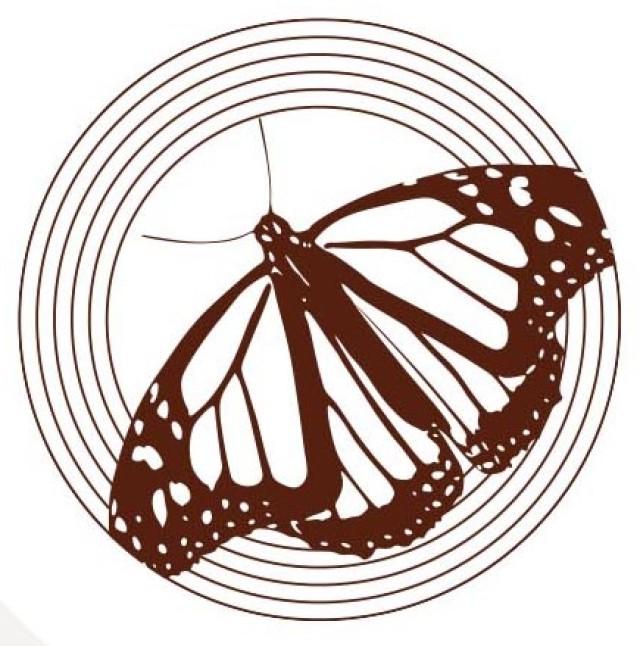 Butterfly Line Art